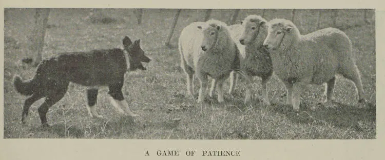 A game of patience