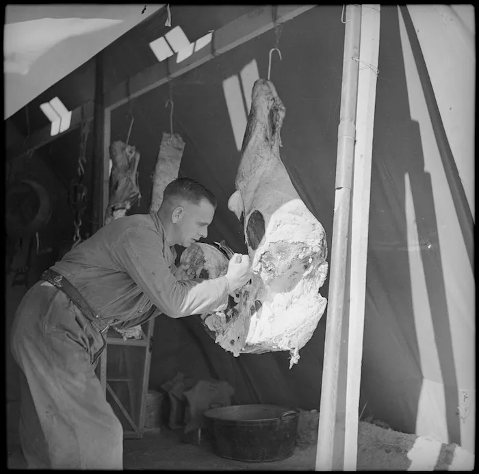 Butcher, NZ Artillery, Egypt