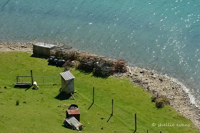 Kakapo Bay, Port Underwood, Marlborough