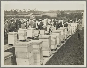 Image: Beekeepers, Field Day Tuakau 1929 Percival Hillary's Apiary