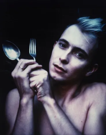 Image: The succulents garden