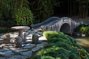 Image: Chinese Garden II