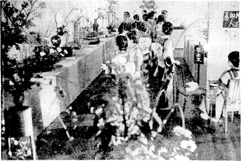 Floiver arrangement is treated as a special art in Japan, and all girls are given instruction on the subject. The photograph shoivs visitors inspecting a display at a floiver show in Tokio recently. (Evening Post, 22 February 1939)