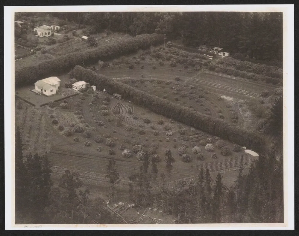 Hardcastle Photographs (30)