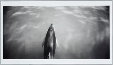 Image: Untitled V. From: Te hikoi ō Kati Kuri | The journey of Kati Kuri - Kaikoura