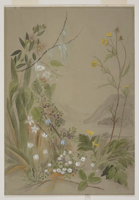 Harris, Emily Cumming, 1837-1925: [Pohutukawa, clematis, bluebell, snowberry and ranunculus. 1890s?]