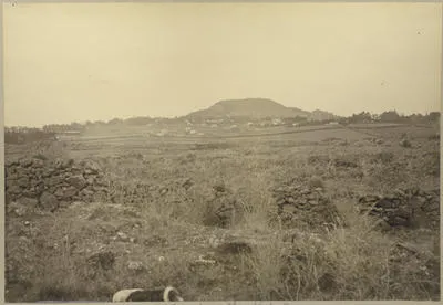 Mt Eden from Three Kings Pa