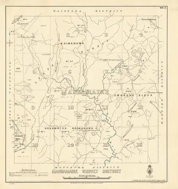 Image: Mangamaire Survey District [electronic resource].