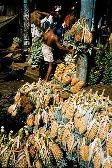 Image: Ceylon (Sri Lanka)