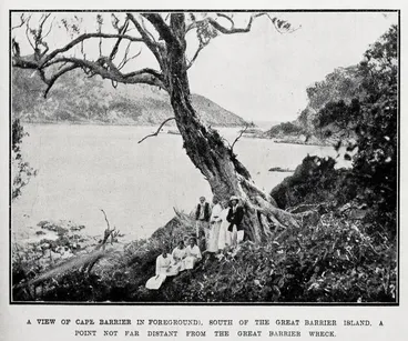 Image: A view of Cape Barrier (in foreground), in the south of the Great Barrier Island, a point not far distant from the Great Barrier wreck