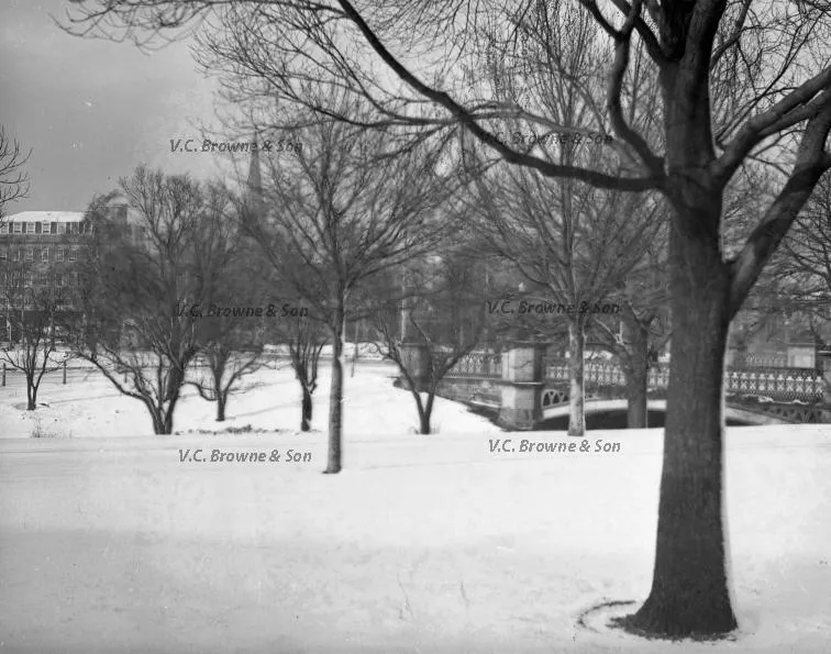 Christchurch - snow (PB1912/1)
