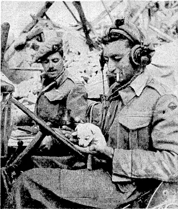 Image: Even in the midst of war's alarms New Zealande.rs.will always find time to. give attention to birds and animals! Above, the driver of a jeep admires the tiny puppy he has found in the ruins of a house in Sesto Imolese, just after the capture of the North Italian town by the New Zealand Division. Right, New Zealanders feeding the pigeons in St. Mark's Square, Venice, the day after the city was liberated by New Zealand troops. (Evening Post, 07 July 1945)