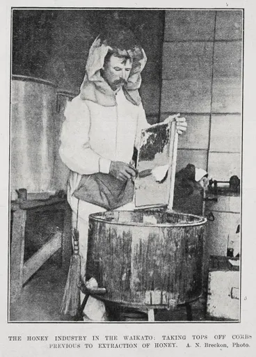 Image: The Honey Industry In The Waikato