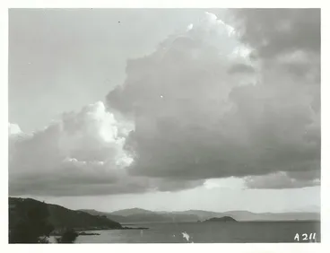 Image: Wellington Harbour