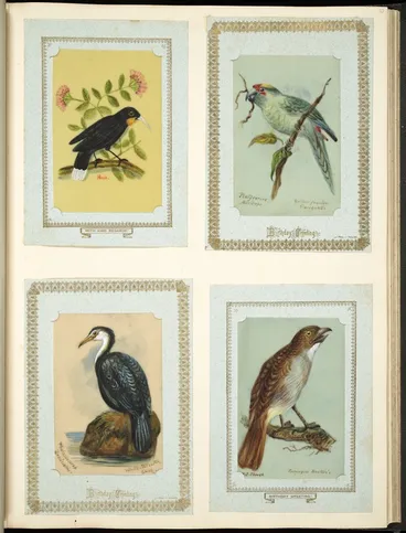 Image: Archibald Dudingston Willis (Firm) :Huia. Platycercus auriceps / Yellow-fronted paroquet. Phalacrocorax brevirostris / White-throated shag. NI thrush / Turnagra hectori [ca 1885]