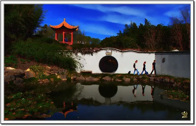 Lake in the Chinese Scholars Garden