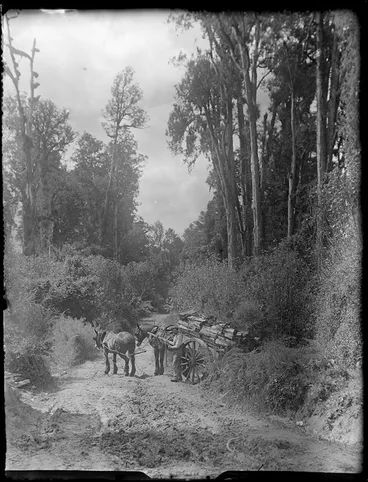 Image: Unidentified man, with a horse drawn cart, loaded with wood, Kakahi, Ruapehu District