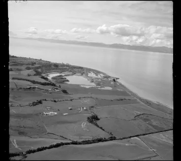 Image: Whakatiwai, Firth of Thames, Auckland
