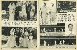 Record Hawke Cup Cricket Score