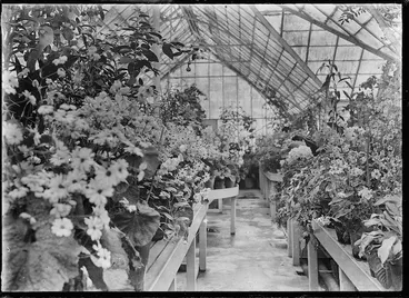 Image: Winter glass-house at the public gardens in Invercargill, 1926