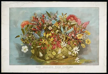 Image: Brown, Jessie :New Zealand wild flowers, some specimens of the beautiful bush blossoms from native shrubs and trees. Auckland, N.Z. Graphic Fine Art printing works, 1905.