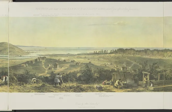 Saxton, John Waring 1807-1866 :The town and part of the harbour of Nelson in 1842, about a year after its first foundation / drawn by John Saxton Esqr; Day & Haghe lithrs. London, Smith Elder & Co., [1845]. [Central section]