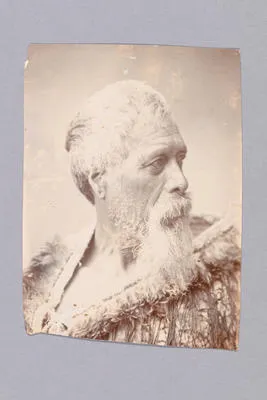 Te Rangitahau. East Taupo chief