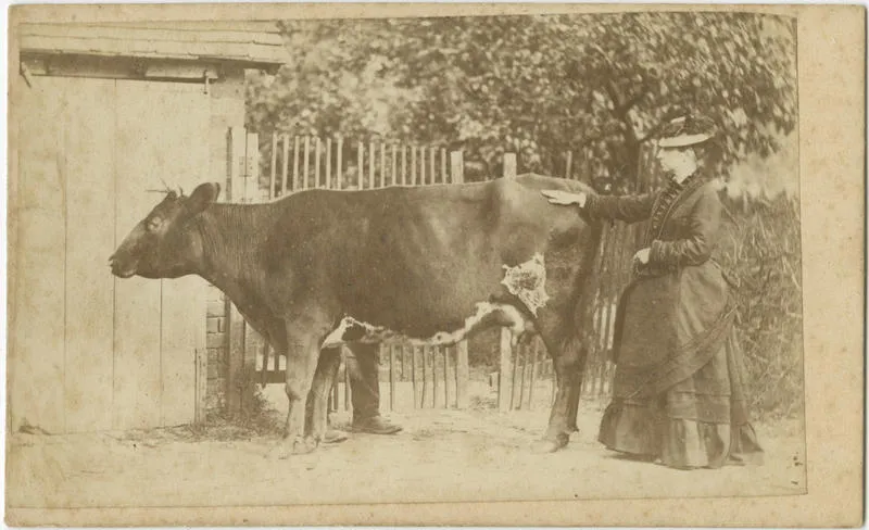 Maria Webb and Dorothy the cow