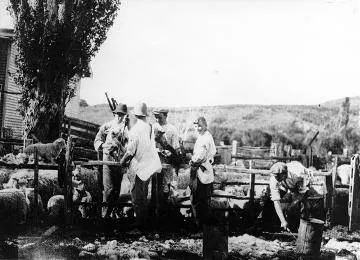 Docking at 'The Peaks' yards : photograph
