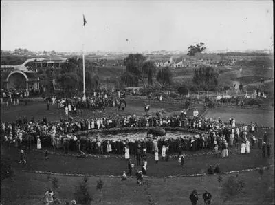 Elephant, Auckland Zoo.