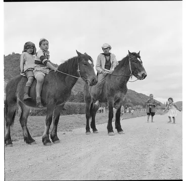 Image: On road past village, Ruatoki