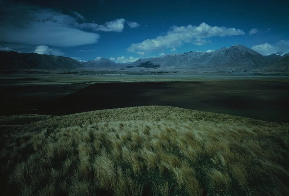 Mackenzie Country, Canterbury, South Island, New Zealand