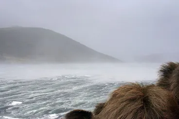 Image: Storm, Campbell Island