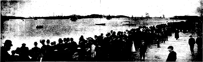 VIEW FROM THE END OF* THE QUEEX STREET WHAitF. LOOKING TOWARDS NORTH HEAD: THE ARRIVAL OF THE AMERICAN BATTLESHIPS IN AUCKLAND HARBOUR. (Otago Witness, 19 August 1908)