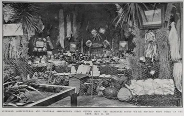 Image: AUCKLAND AGRICULTURAL AND PASTORAL ASSOCIATION'S FIRST WINTER SHOW: THE OHINEMURI COURT WHICH SECURED FIRST PRIZE AT THE SHOW, MAY 23, 1907