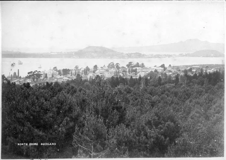 Waitematā Harbour from the Auckland Domain