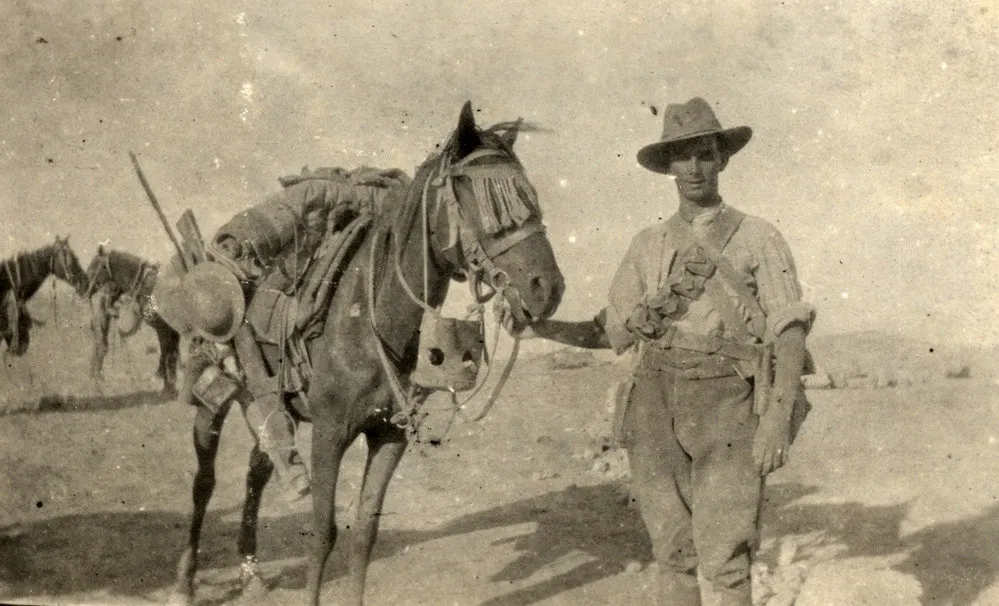 Featherston (NZ), Egypt, Gallipoli & Sinai and Palestine