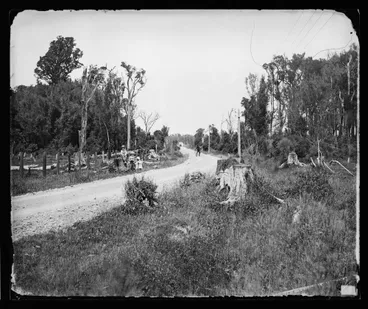 Image: Wellington and Masterton Road, near Carterton, looking South, NZ