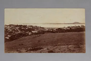 Image: Auckland, from Domain