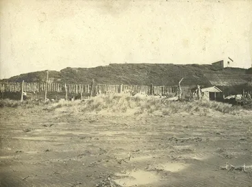 Image: Shark meat drying, Moturoa