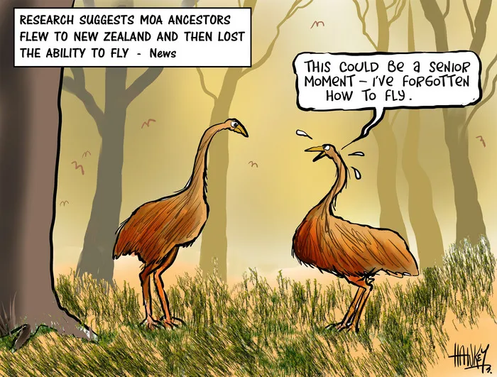 Hawkey, Allan Charles, 1941- :Flightless. 19 May 2014