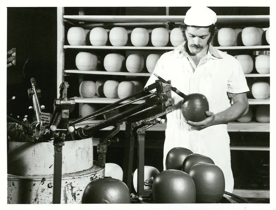 Agriculture - Dairy Factories - Cheese