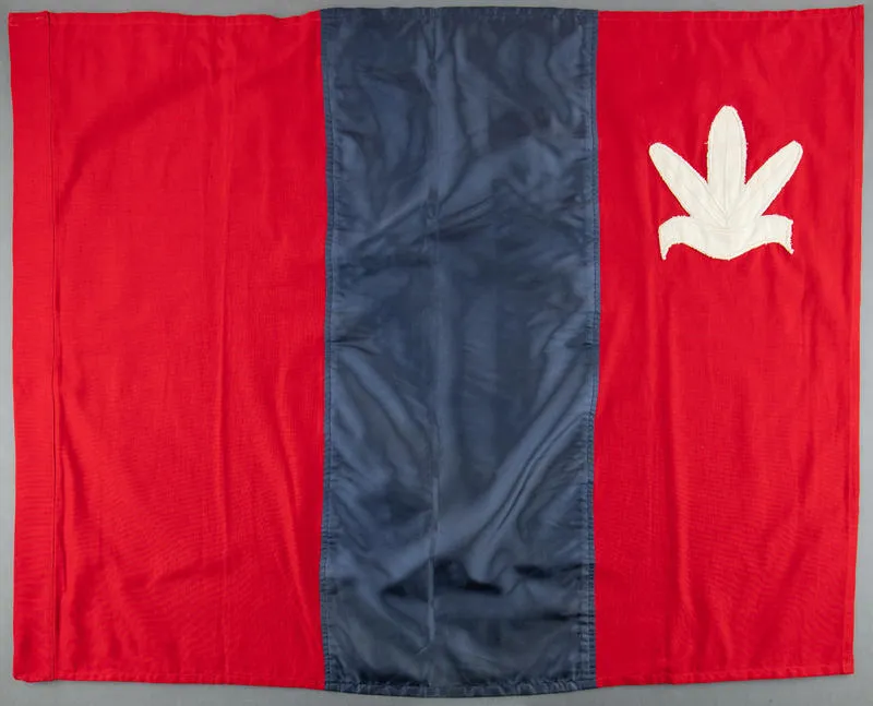 Flag, Parihaka