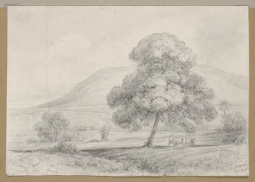 Image: Swainson, William, 1789-1855 :River Derwent Tasmania [February 1854?]