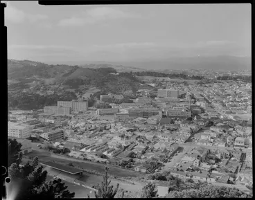 Image: View of Newtown including Wellington Hospital