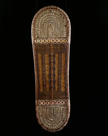 Image: shield