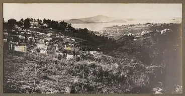 Image: [Grafton Cemetary]