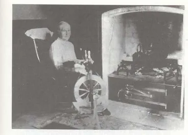 Image: [untitled figure] - Settler Kaponga 1881–1914 — A Frontier Fragment of the Western World