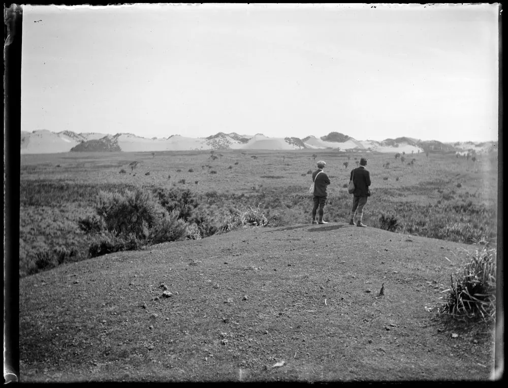 Sand-fall encroaching on Totara flat, Horowhenua dune-belt between Lake Horowhenua and the sea