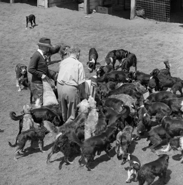 Image: W & R Fletcher NZ Ltd, Vic Cook, Man and Dogs